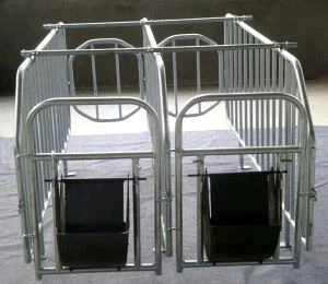 Hlau Cam Khwb Pig Feeder