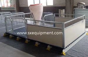 Piglets Noob Qaum Crate